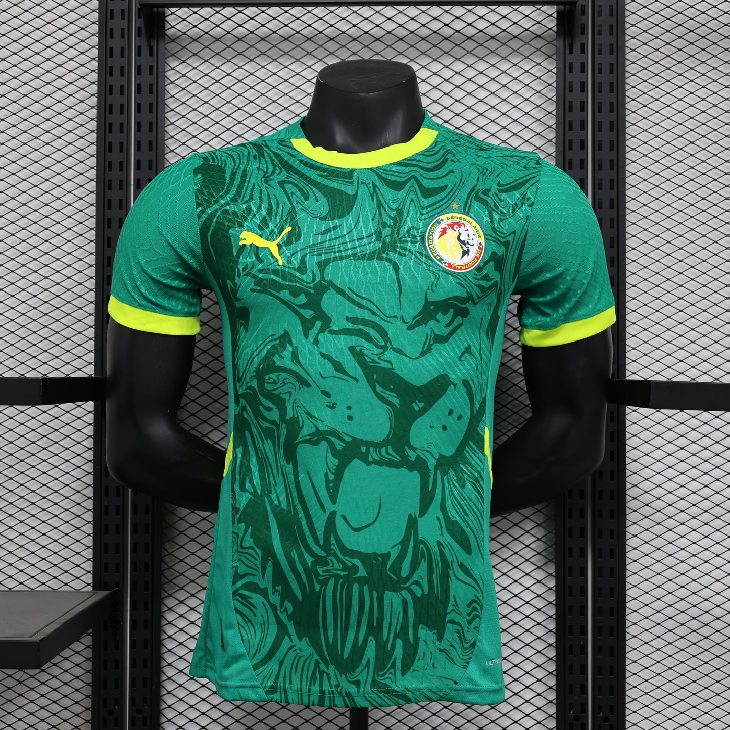 Senegal (home) 2025-2026