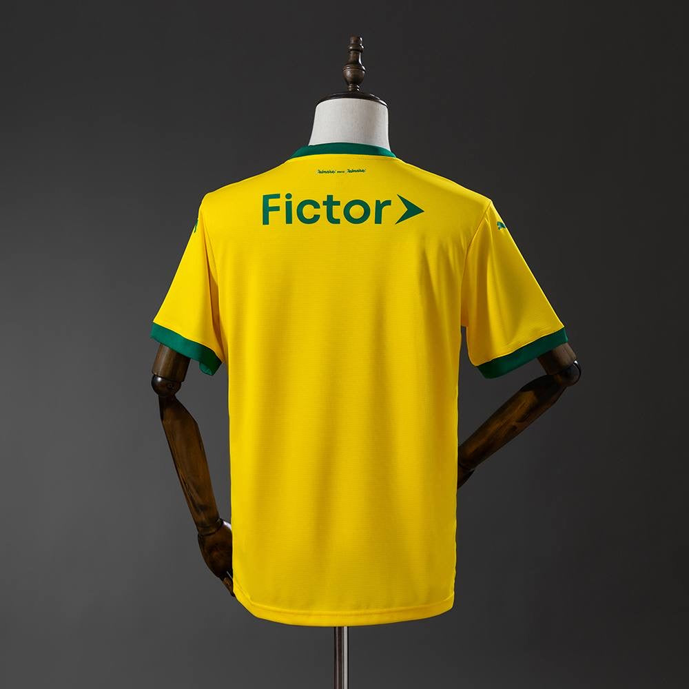 Palmeiras (extérieur)