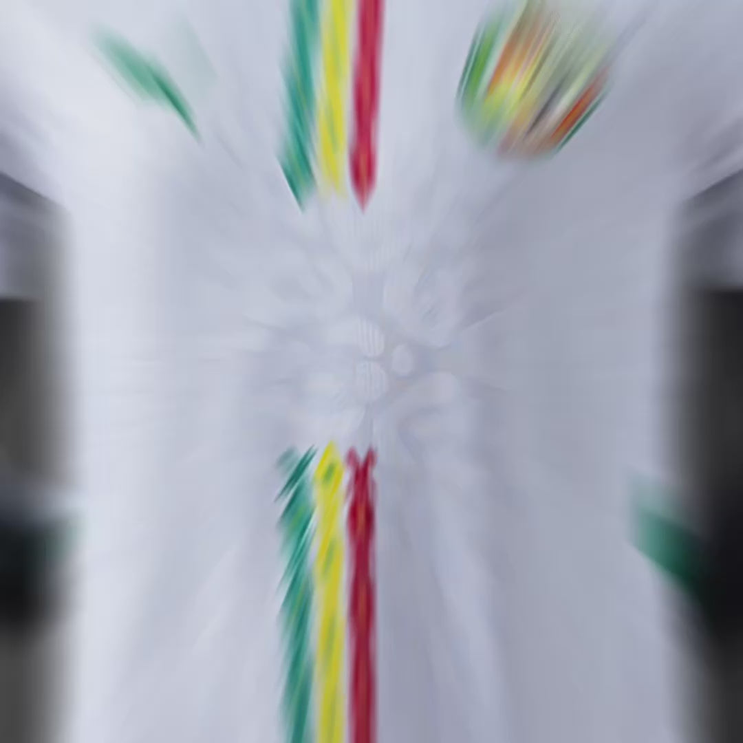 Charger la vidéo : 